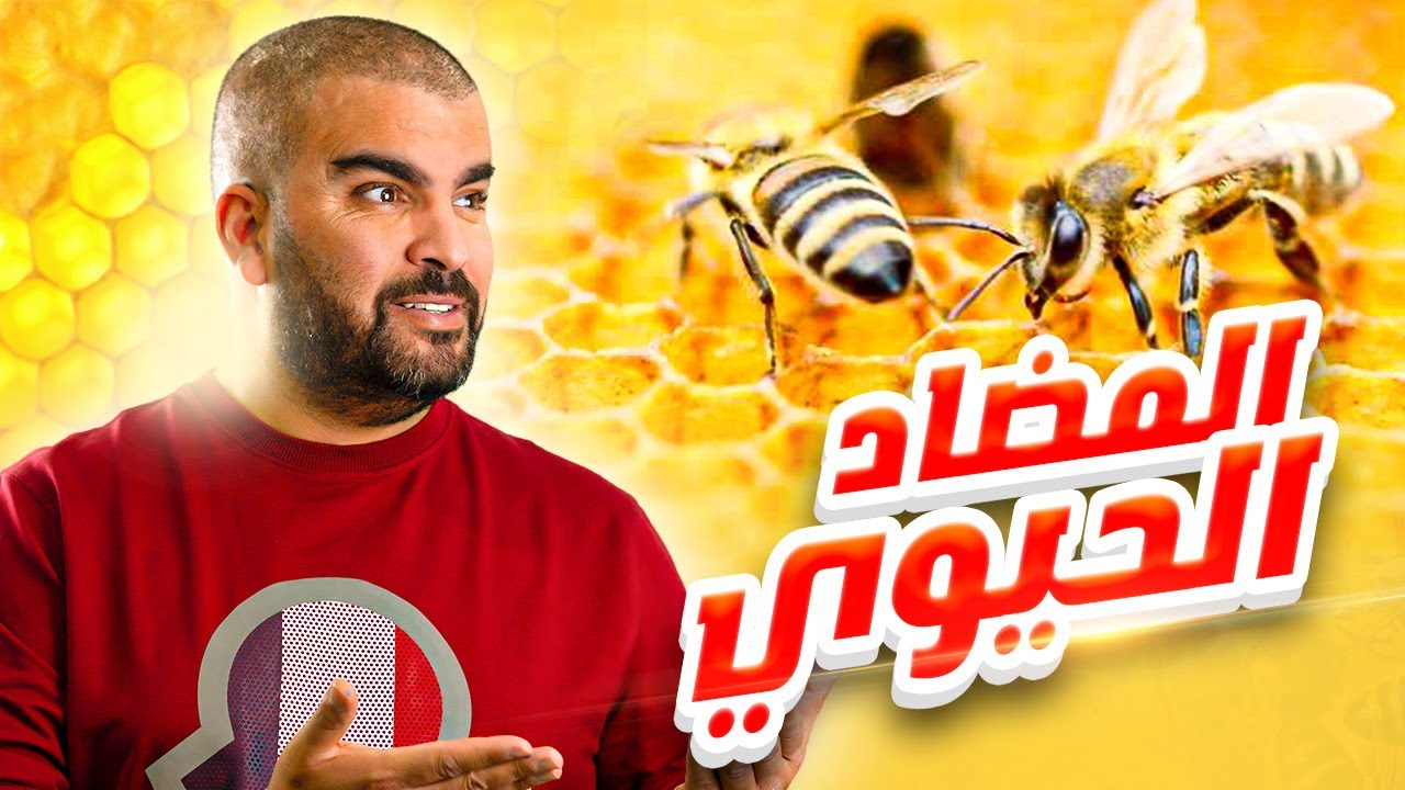 افضل تمرين المضاد الحيوي عسل النحل علوم الطبيعة والحياة
