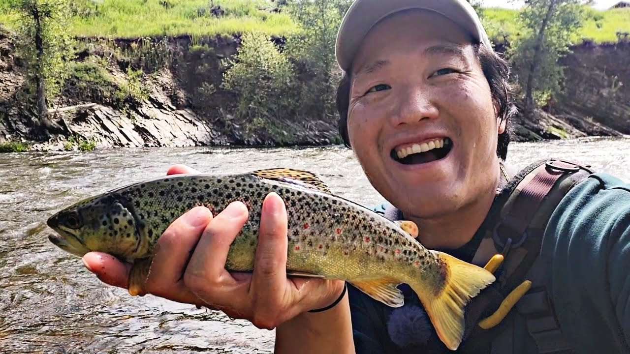 Catching Brown Trout in Colorado River | Hot Sulphur Springs Camping