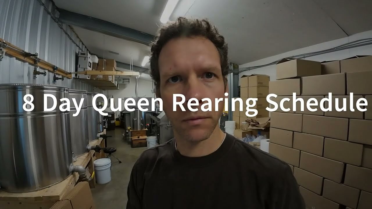 8 Day Queen Rearing Schedule
