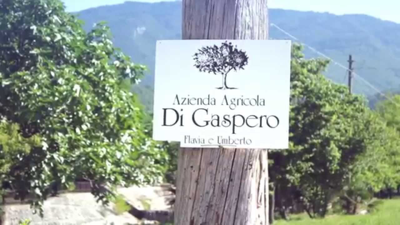Azienda Agricola Di Gaspero Flavia ed Umberto