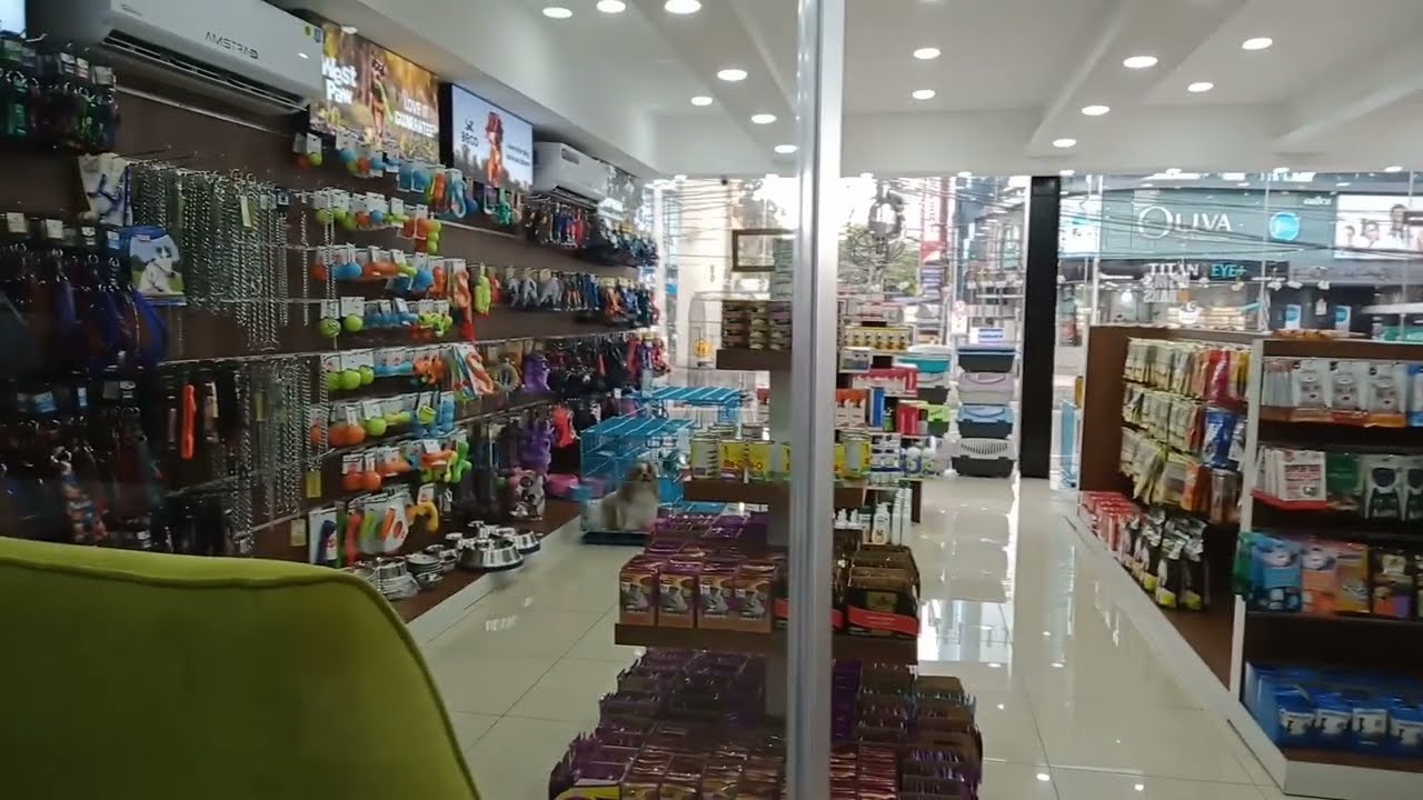 Roms & Raks!! What's inside this pet shop?