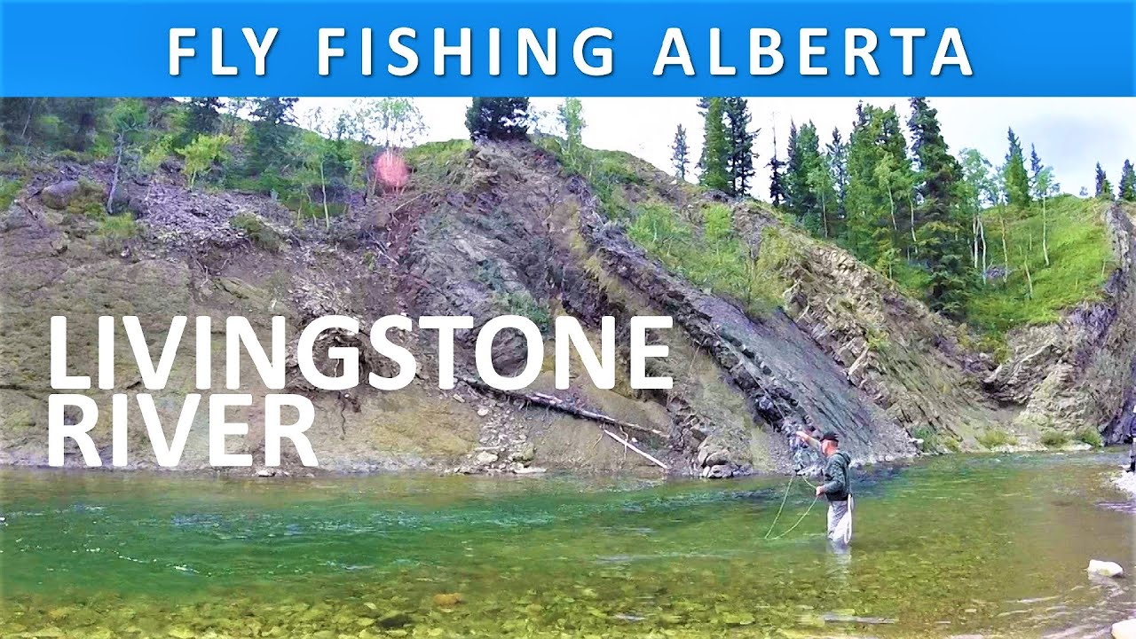 Fly Fishing Alberta's Livingstone River in August [Series Episode #19]