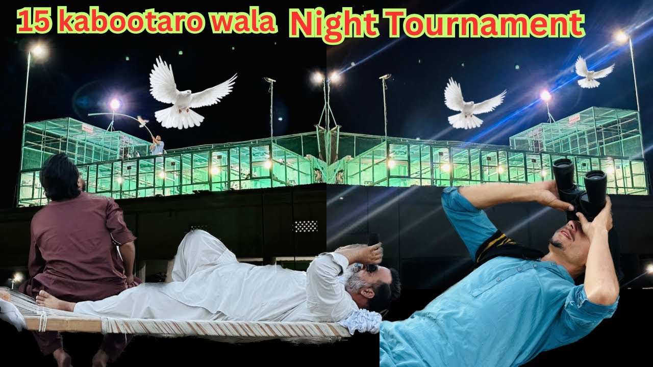 15 kabootaro wala night Tournament + 1 to 1 😱 | Dar pigeons club |