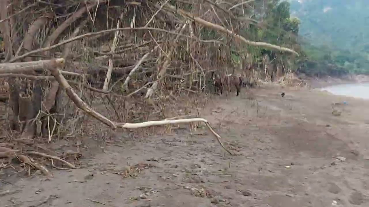 La devastación del Río Calabozo en Coatzonco 