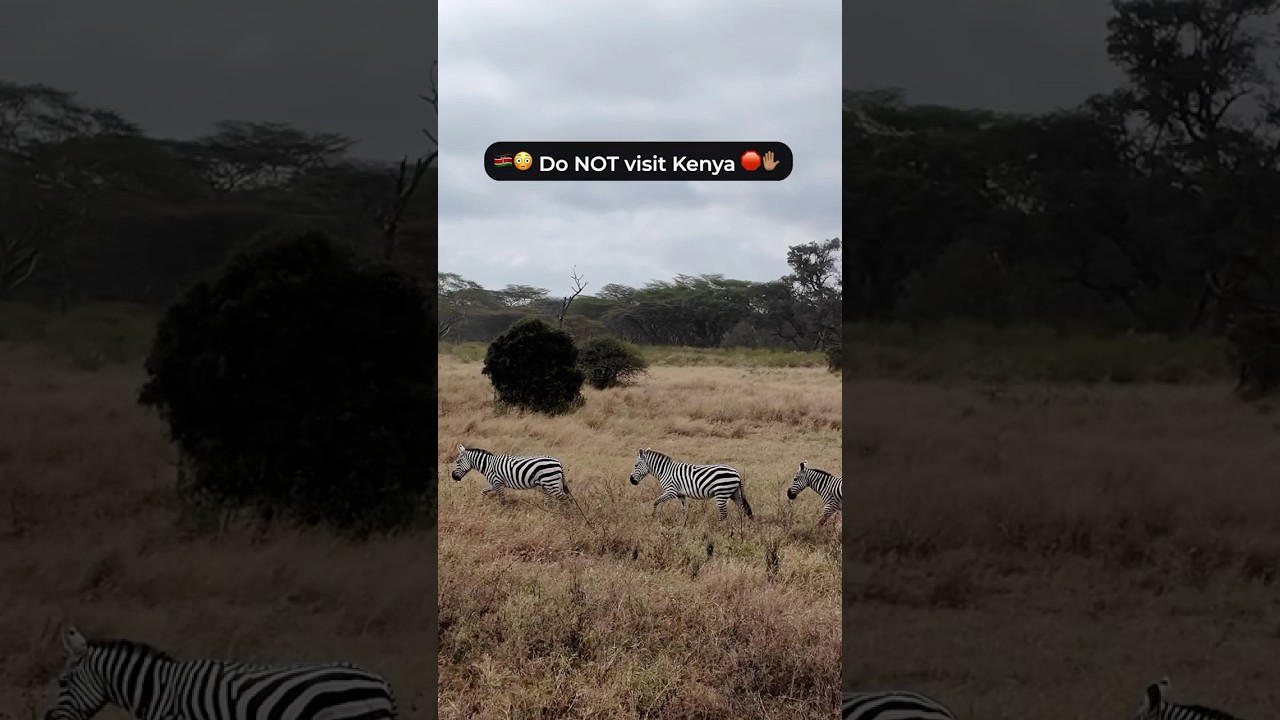 🚨 Do NOT visit Kenya until you know these travel tips! 🚨