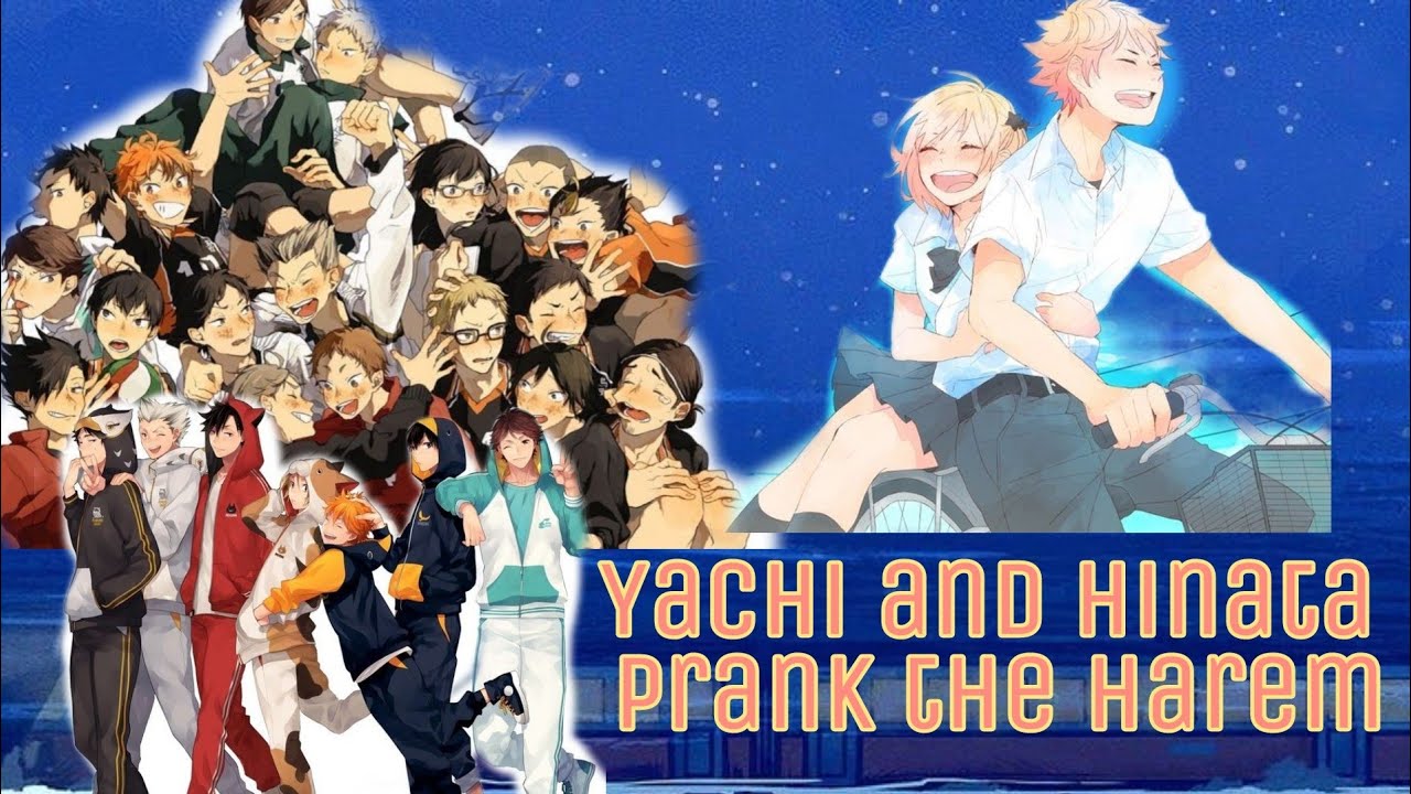 HINATA HAREM || HINATA AND YACHI PRANK THE SIMPS || HAIKYUU TEXT