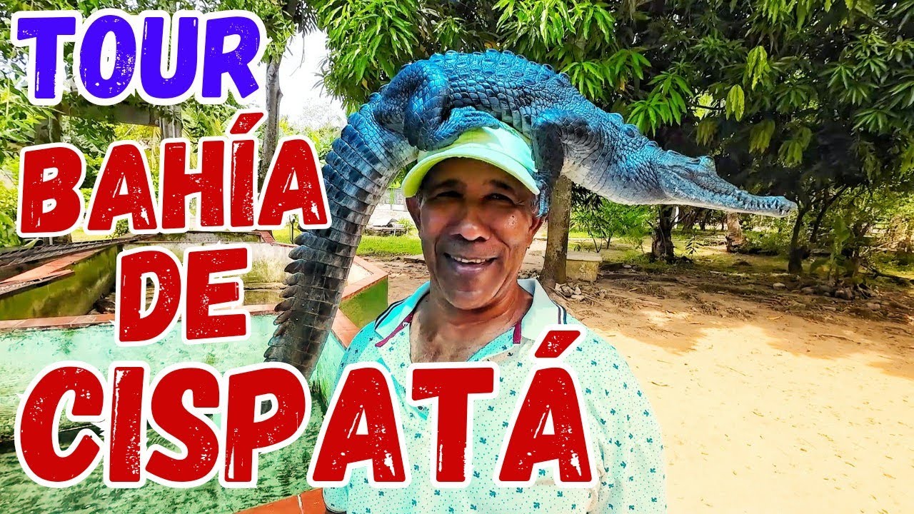 🇨🇴 San Antero Tour Bahía de Cispatá Colombia  😱🔥 Caimanes, tortugas, ostras y mucho más