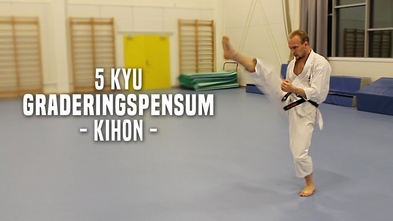 5.Kyu - Kihon
