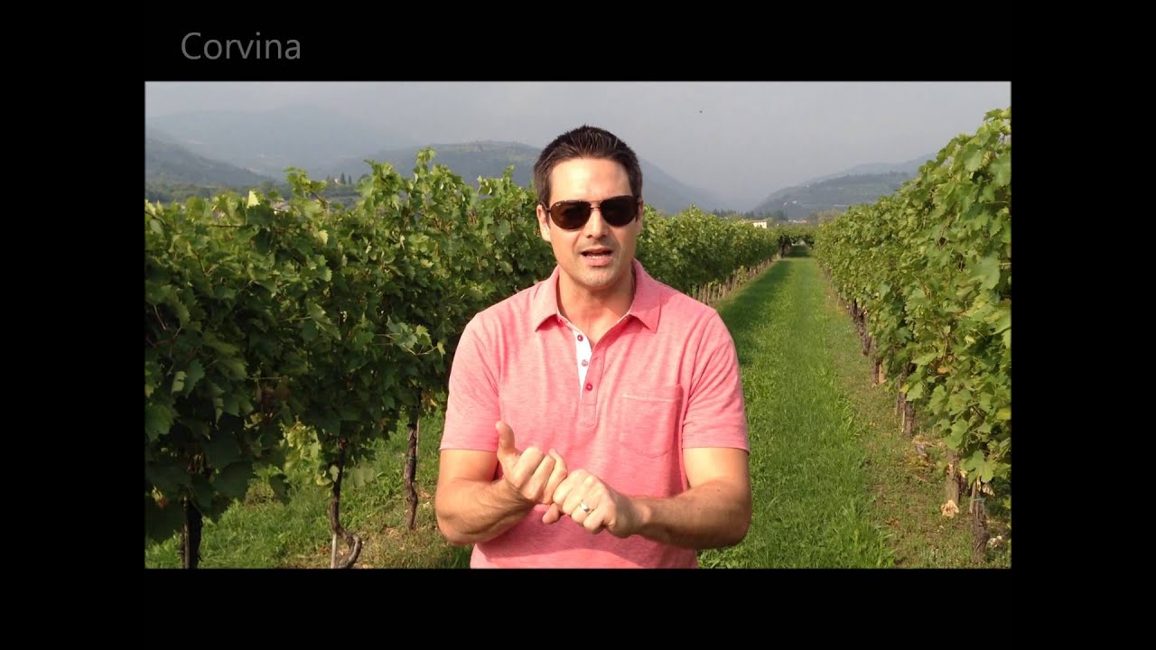 Nick's Wine Journal - Valpolicella, Italy