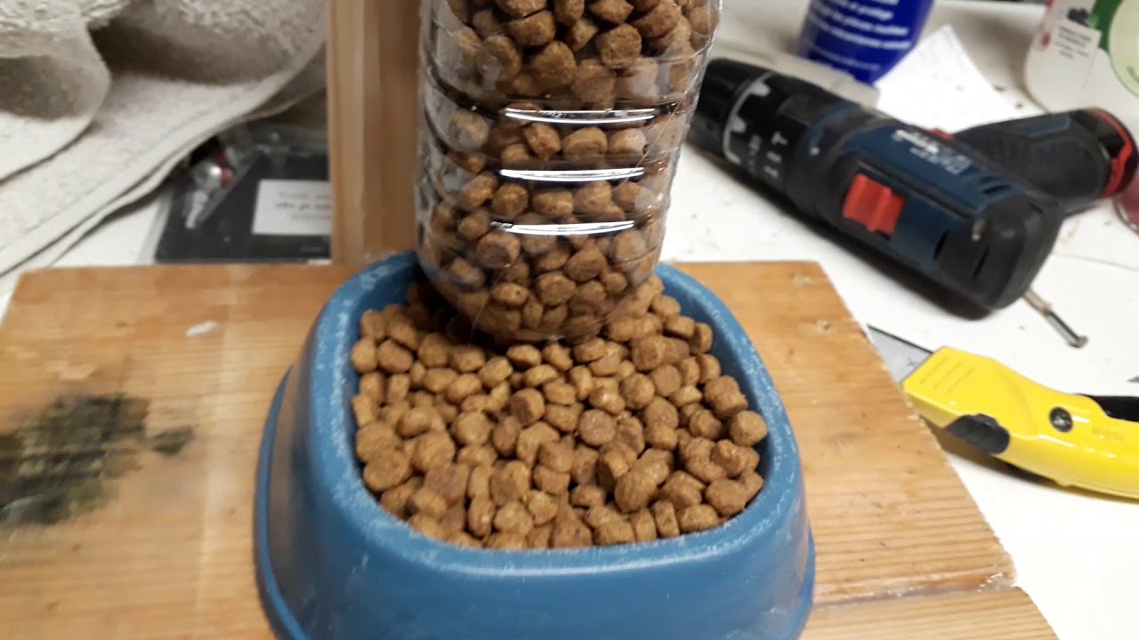 COMMENT FAIRE UN DISTRIBUTEUR DE CROQUETTES POIR CHAT OU PETIT CHIEN