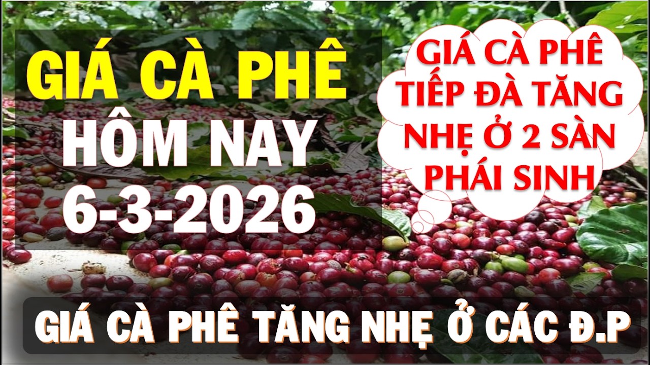 Gi&aacute; c&agrave; ph&ecirc; h&ocirc;m nay ng&agrave;y 6/3/2026|Gi&aacute; c&agrave; ph&ecirc; tăng nhẹ đồng loạt ở 2 s&agrave;n v&agrave; trong nước