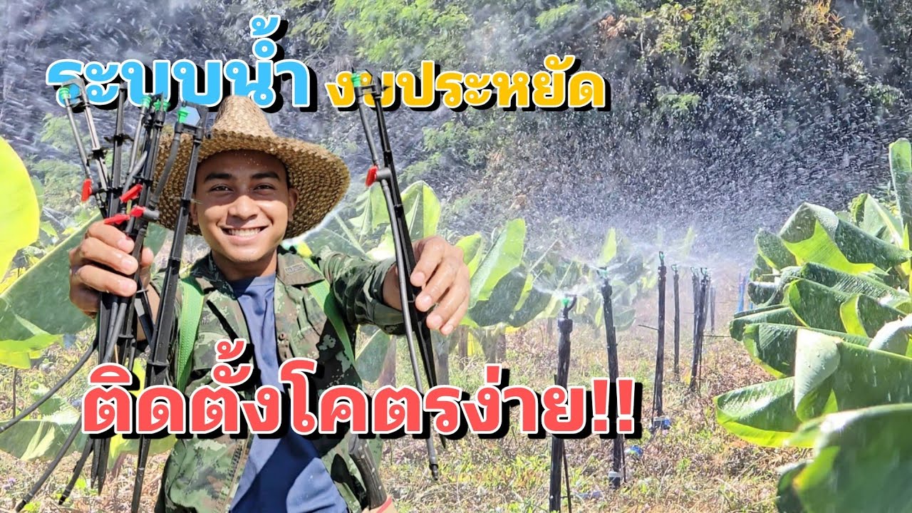 ทำระบบน้ำด้วยมินิสปริงเกอร์ ต้นทุนโคตรต่ำ ทำโคตรง่าย!! #บอกละเอียด 