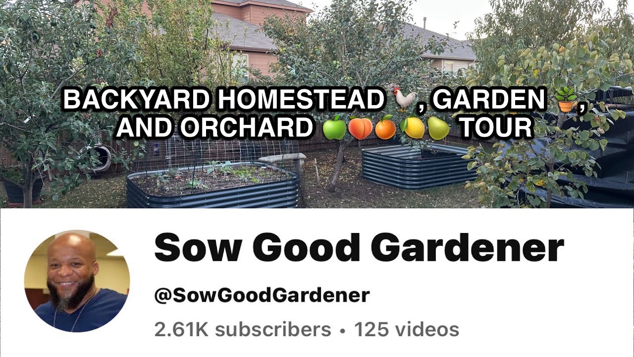 BACKYARD HOMESTEAD 🐓, GARDEN 🪴, and ORCHARD 🍑🍏🍋🍊🍐TOUR