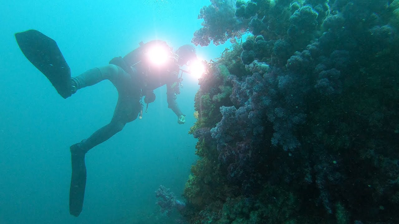 Epic Jeju Island Dives! (4K60)