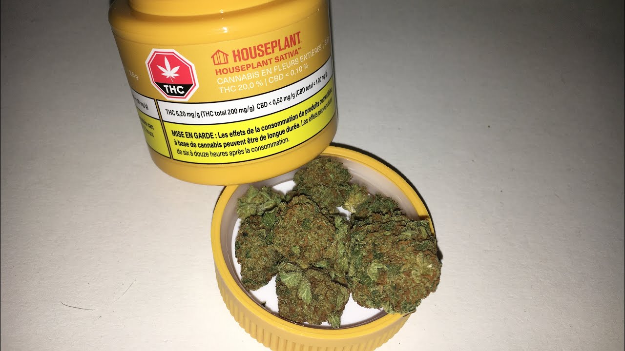 Unboxing Seth Rogen&rsquo;s Weed  - Houseplant Sativa