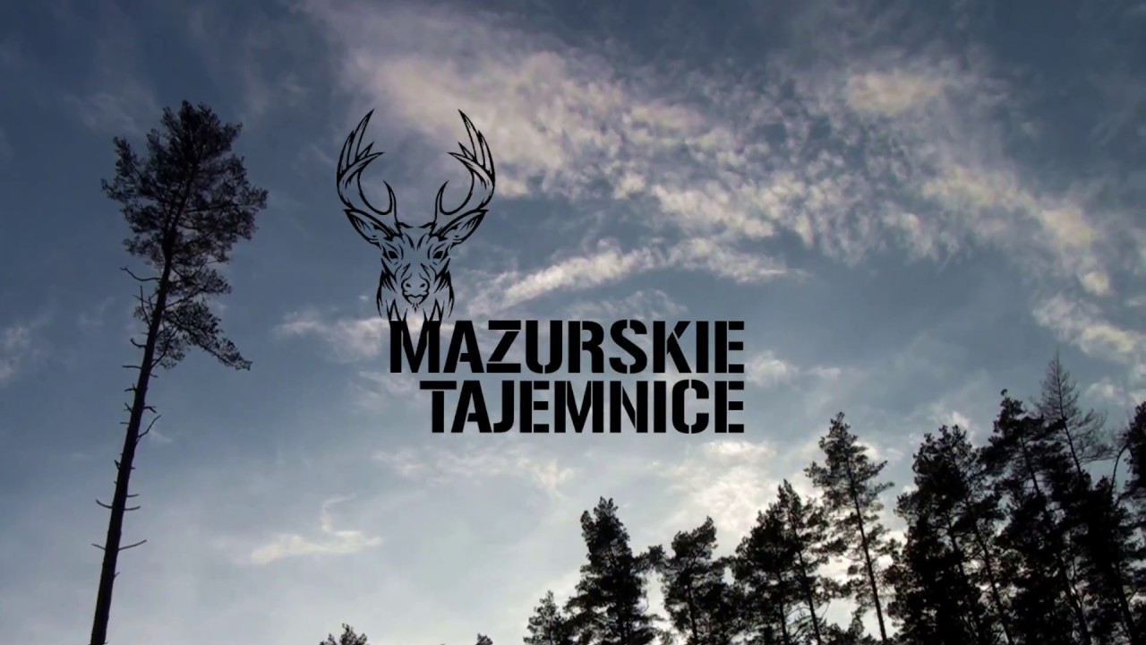 WAŁY - Tajemnica Leśnego Pomnika
