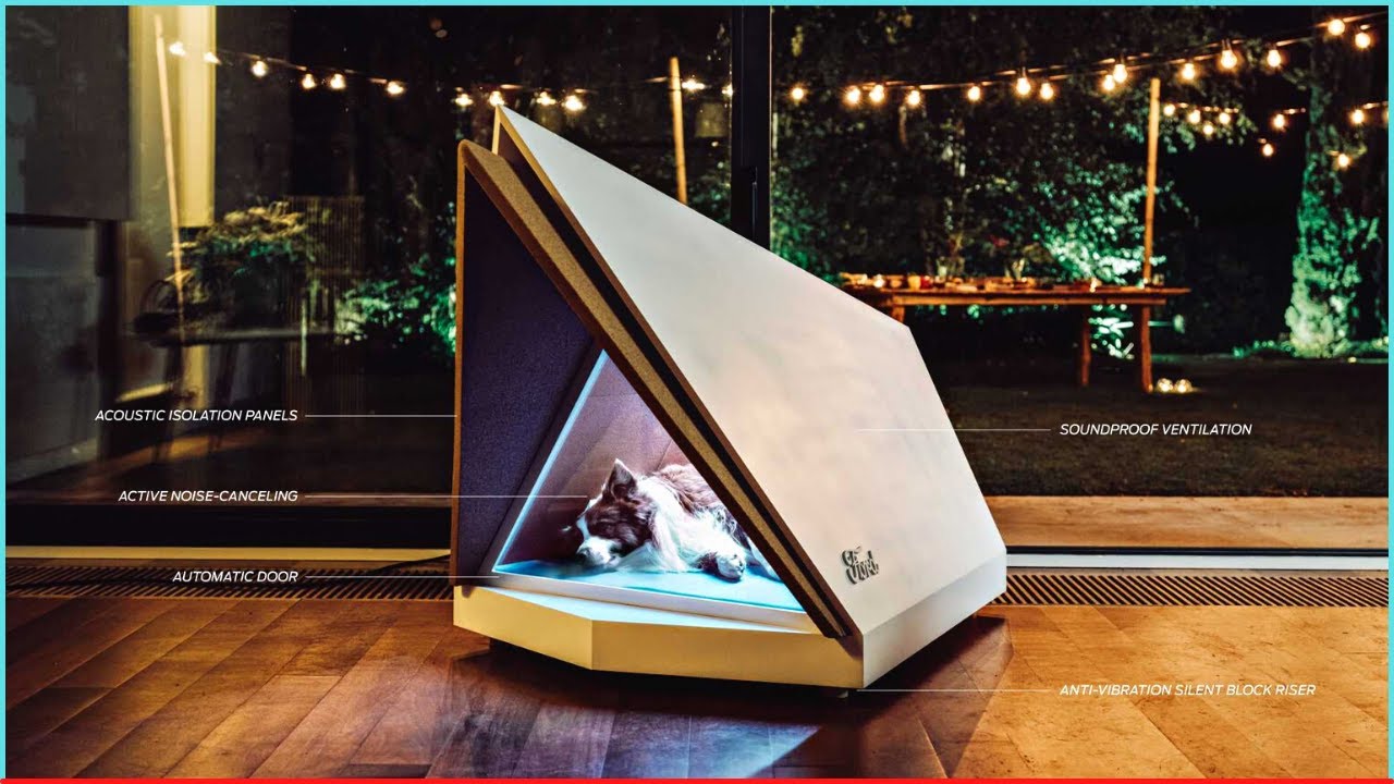Top 10 Amazing Gadgets For Dogs On Amazon [September 2021]