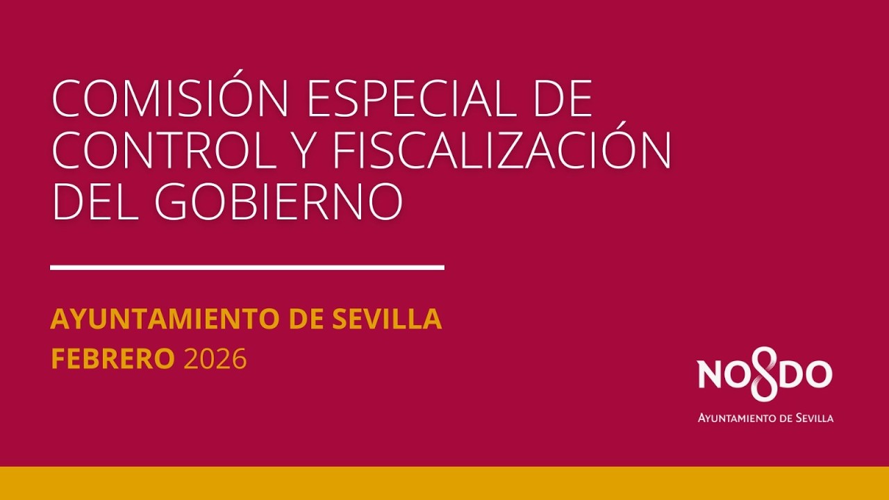 Comisión Especial de Control y Fiscalización del Gobierno del 13-02-2026