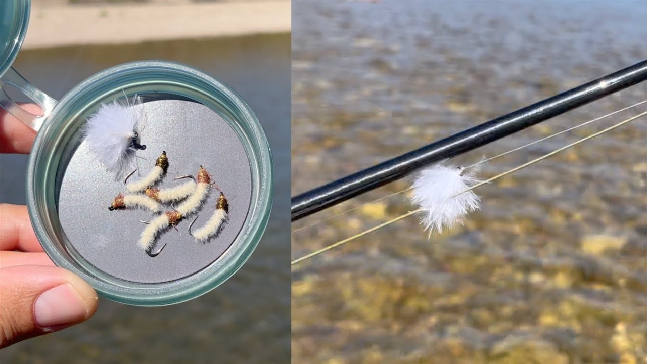 Pêcher le barbeau à la mouche [ E11 ] – La validation du pompon marabou ✅✅✅
