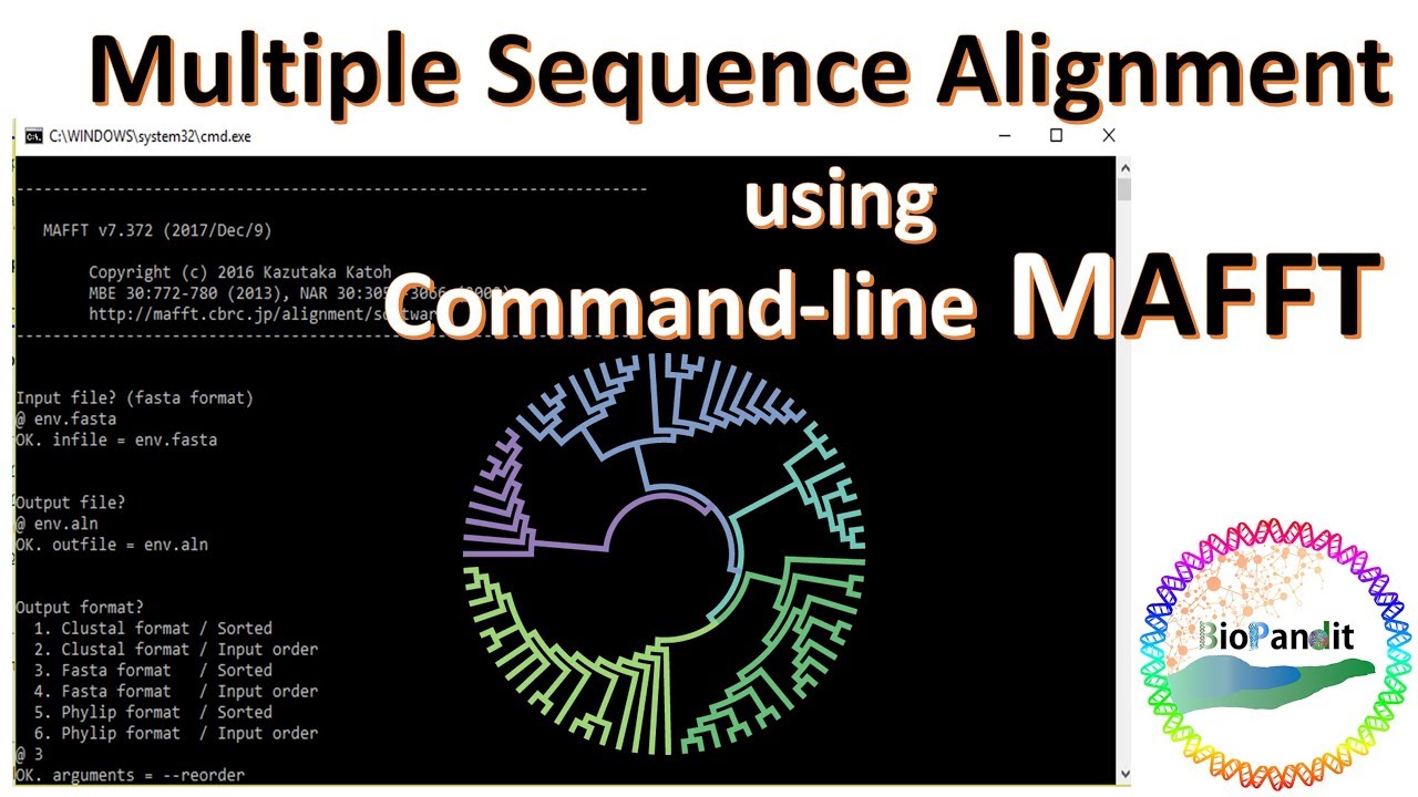 Multiple Sequence Alignment using MAFFT