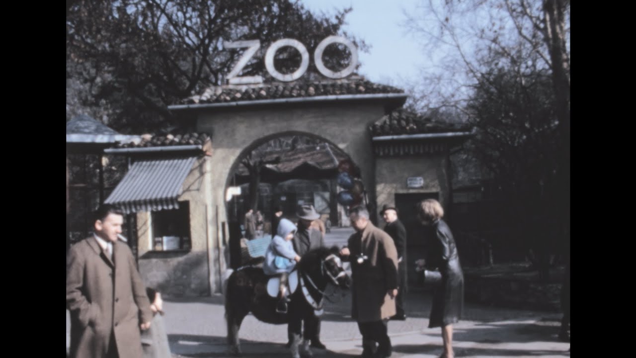 Lo Zoo dei Giardini di Porta Venezia nel 1969 (super 8)