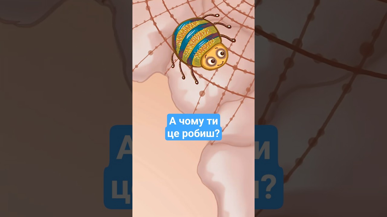 Чому⁉️ ми прикрашаємо ялинки 🎄Таємниця розкрита 