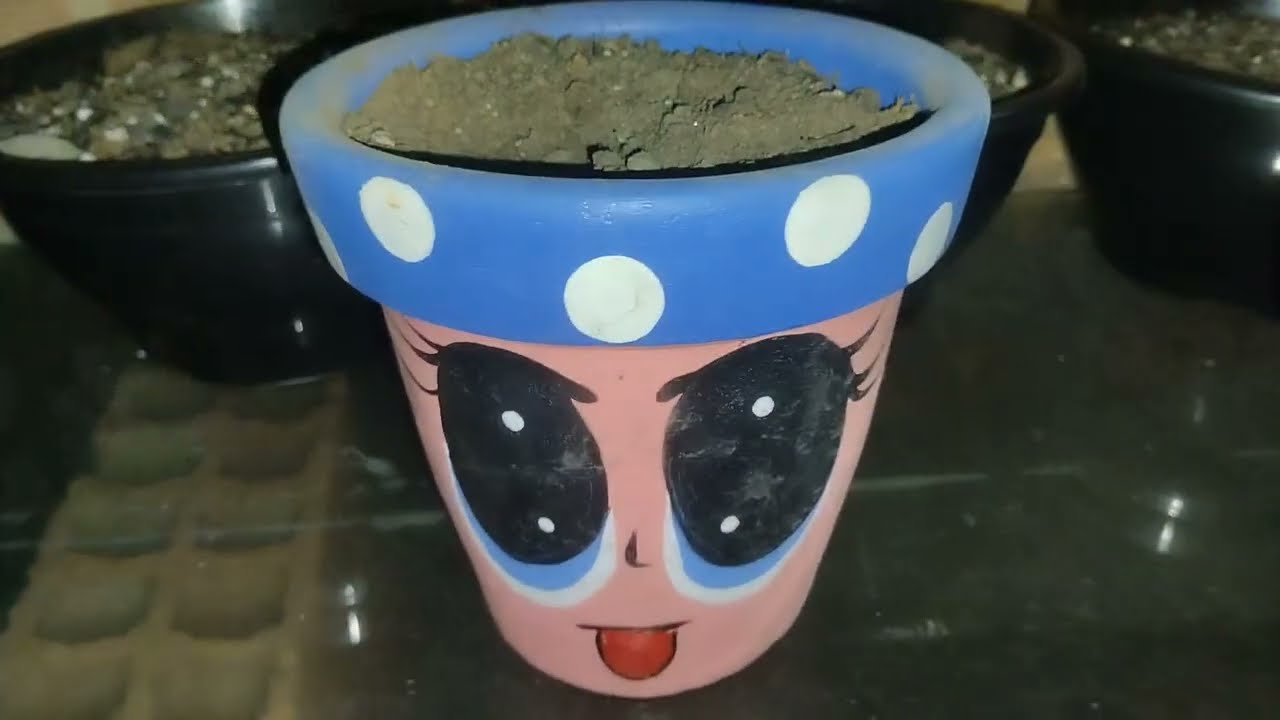 Entre Sombrite e Suculentas: o Cultivo que Cura a Mente / @cultivandosonho9341 