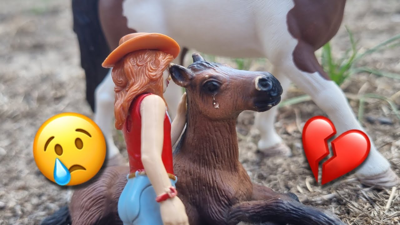 Die traurige Geschichte eines Westernpferdes namens Flo💔😢Schleich Kurzfilm