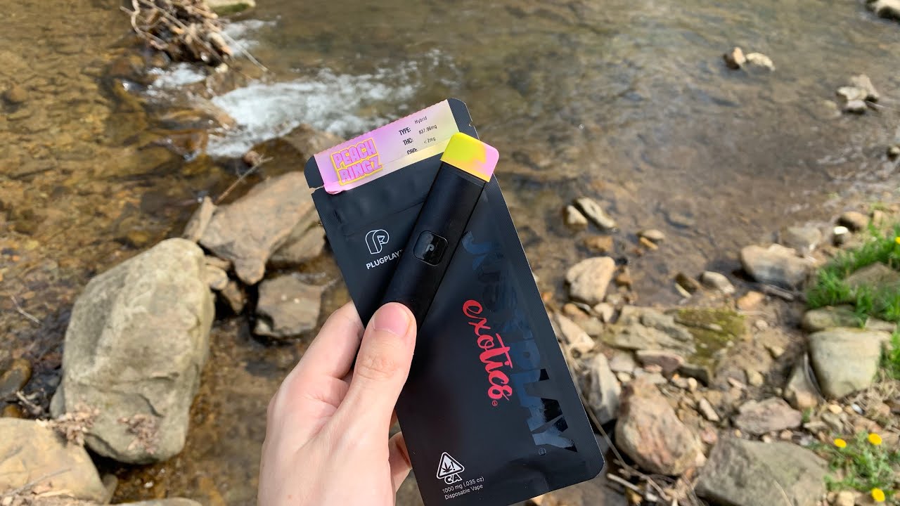 420 Review!!! First time ever trying plugplay disposable! (Peach Ringz)