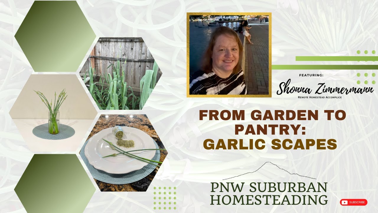 Garlic Scapes