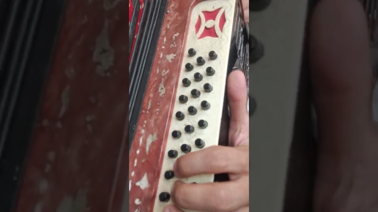 "Аль да Син бар але доньяла". Разбор песни на гармошке. Красивый вальс на гармошке