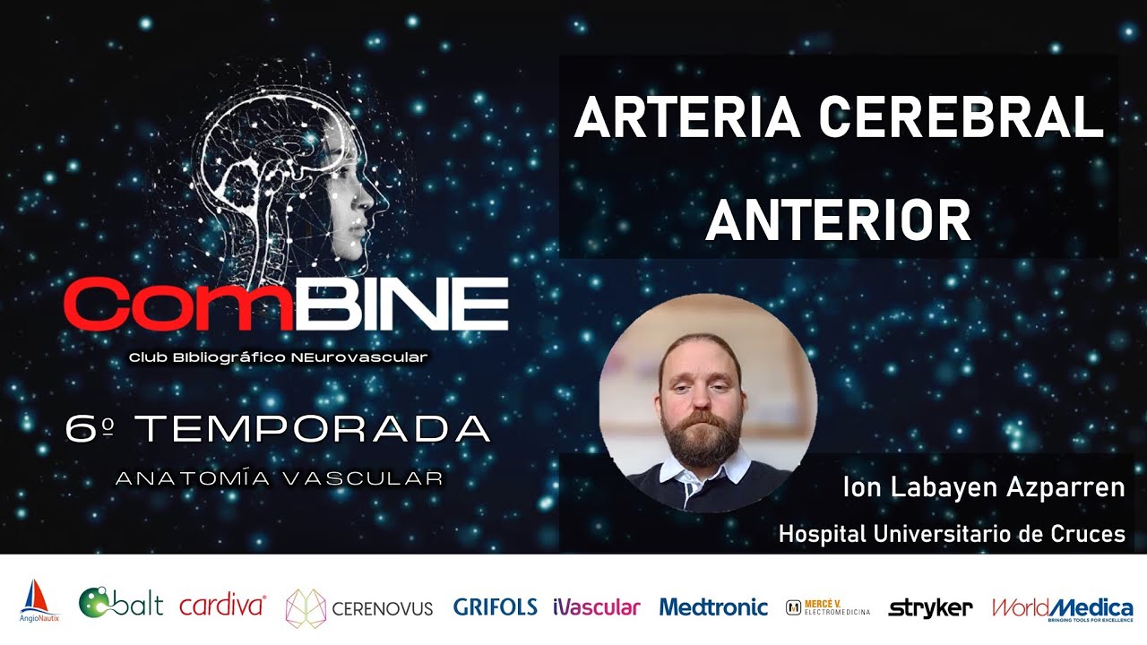 Anatomía Vascular: Arteria Cerebral Anterior
