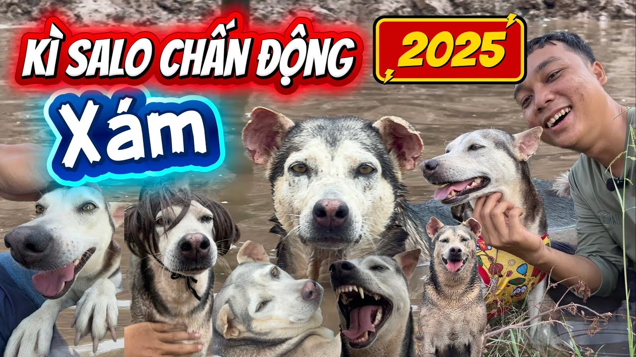 Kì SaLo Chấn Động Của Xám Giang Hồ Năm 2025( FULL) 