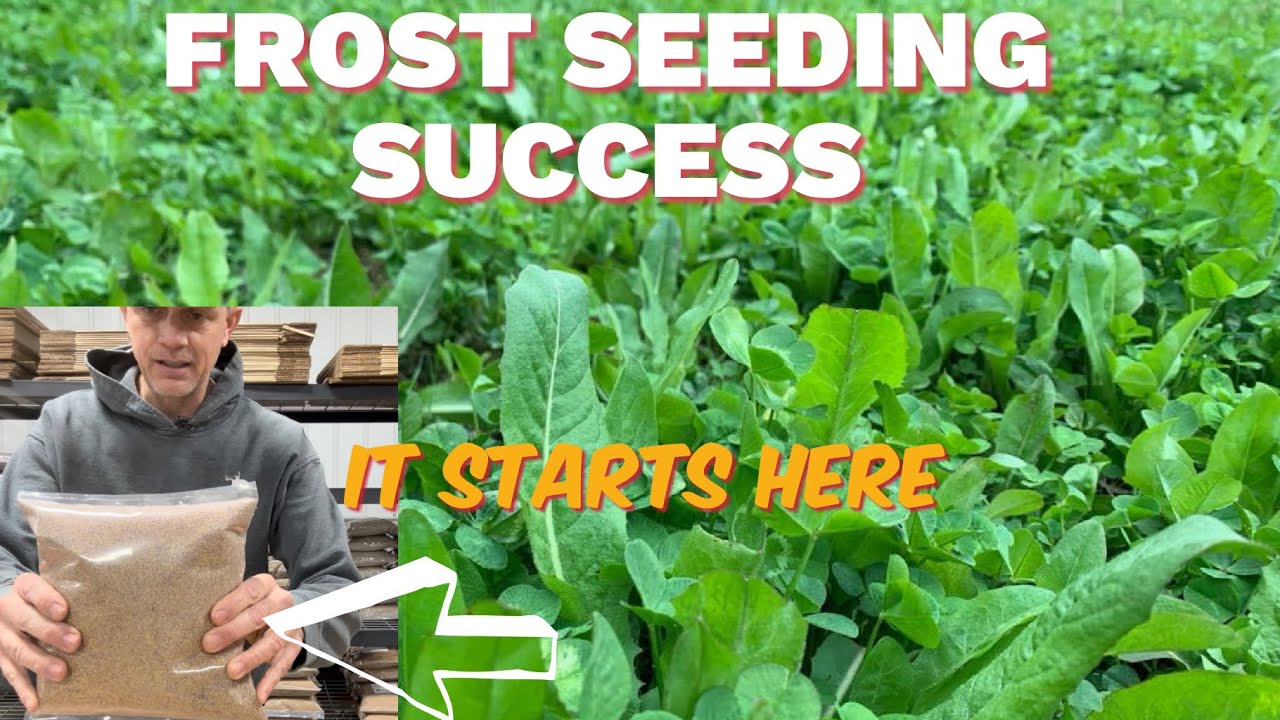 TOP FROST SEEDING TIPS