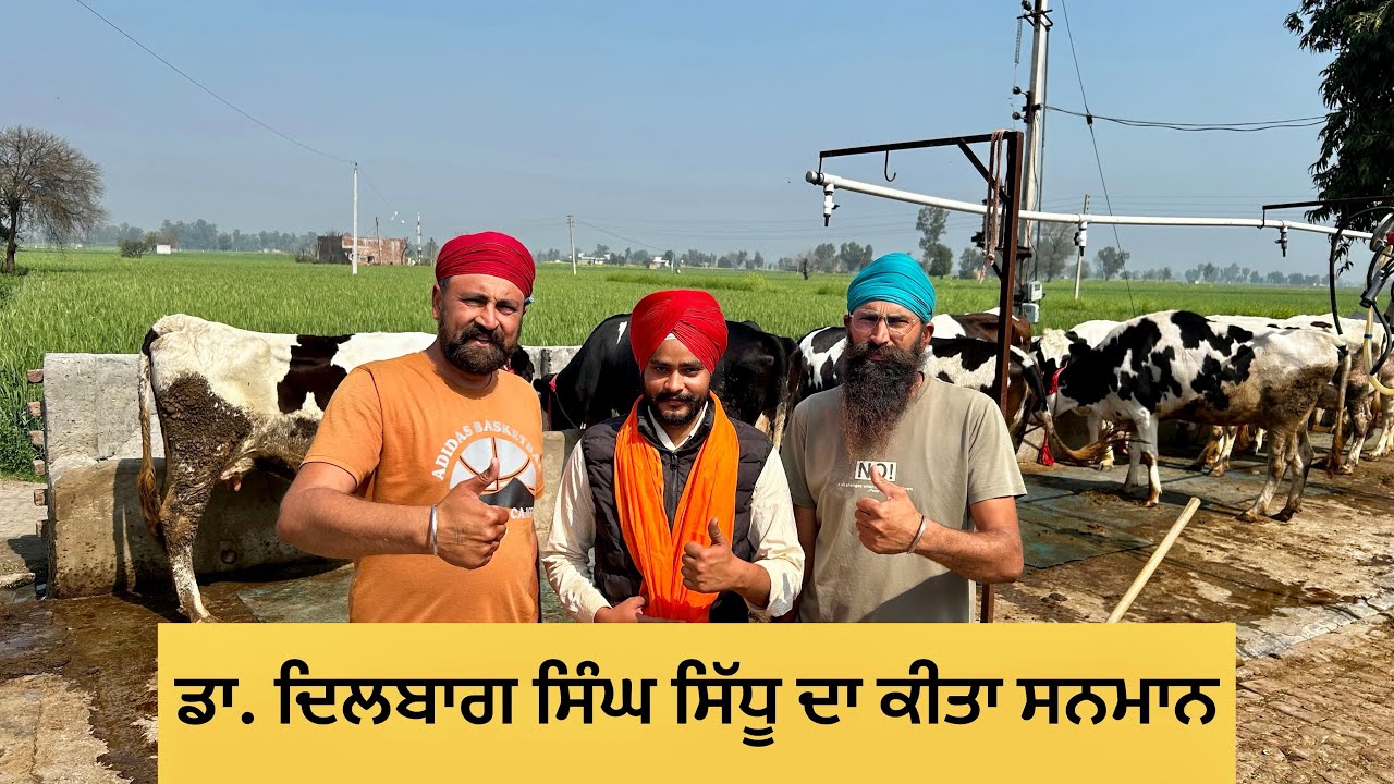 ਡਾ.ਸਿੱਧੂ ਦਾ ਕੀਤਾ ਸਨਮਾਨ // ਸਾਰੇ ਪਸ਼ੂ ਨੇ ਗੱਬਣ🧿 // dhillon brothers