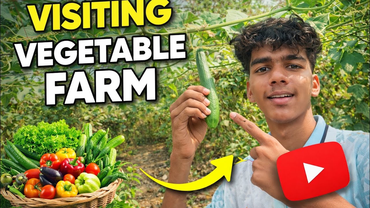 खेत में घूमने गए और मज़ा आ गया | Vlog 🎥#khetmeghumne #villagevlog #khet #farmlife