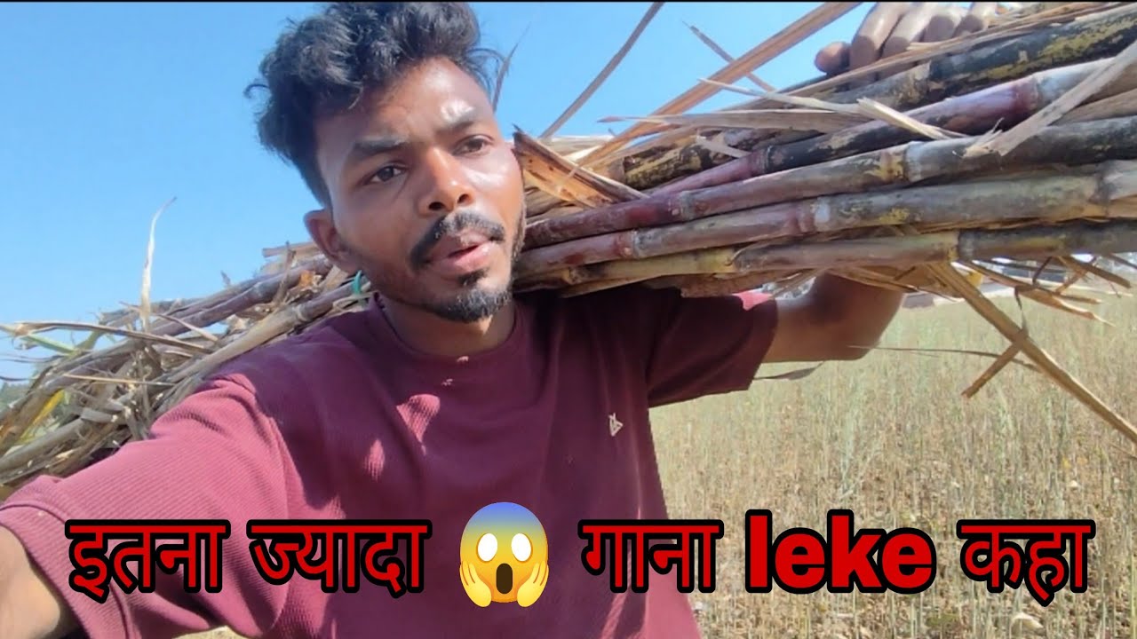 एक बार में इतना ज्यादा गाना ले आया// Cg me gaon ke loge gana kaise lagate hai 🙃 // @cgnitin1281 