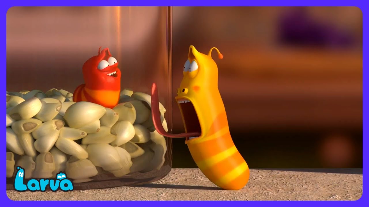 Larva - Valkosipuli yllättää! | Lastenohjelmat | WildBrain Sirkus - Valmis