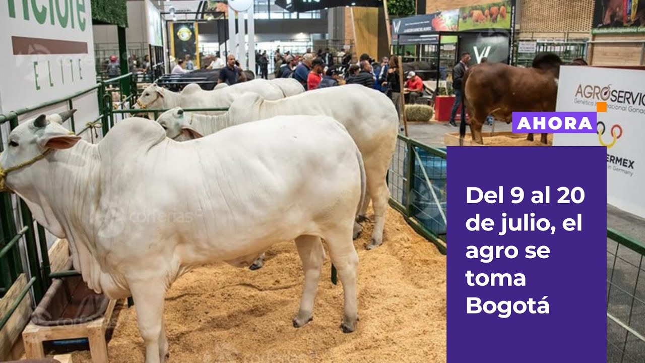 Agroexpo 2025 celebra 25 ediciones y 50 años en Corferias | Actualidad