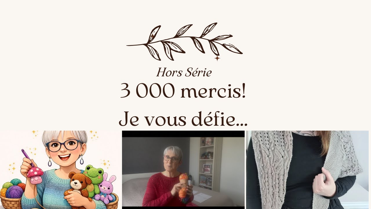 Hors Série:3 000 mercis! Je vous défie pour un tricot intermédiaire et résultat du jeu!Suivez-moi! 