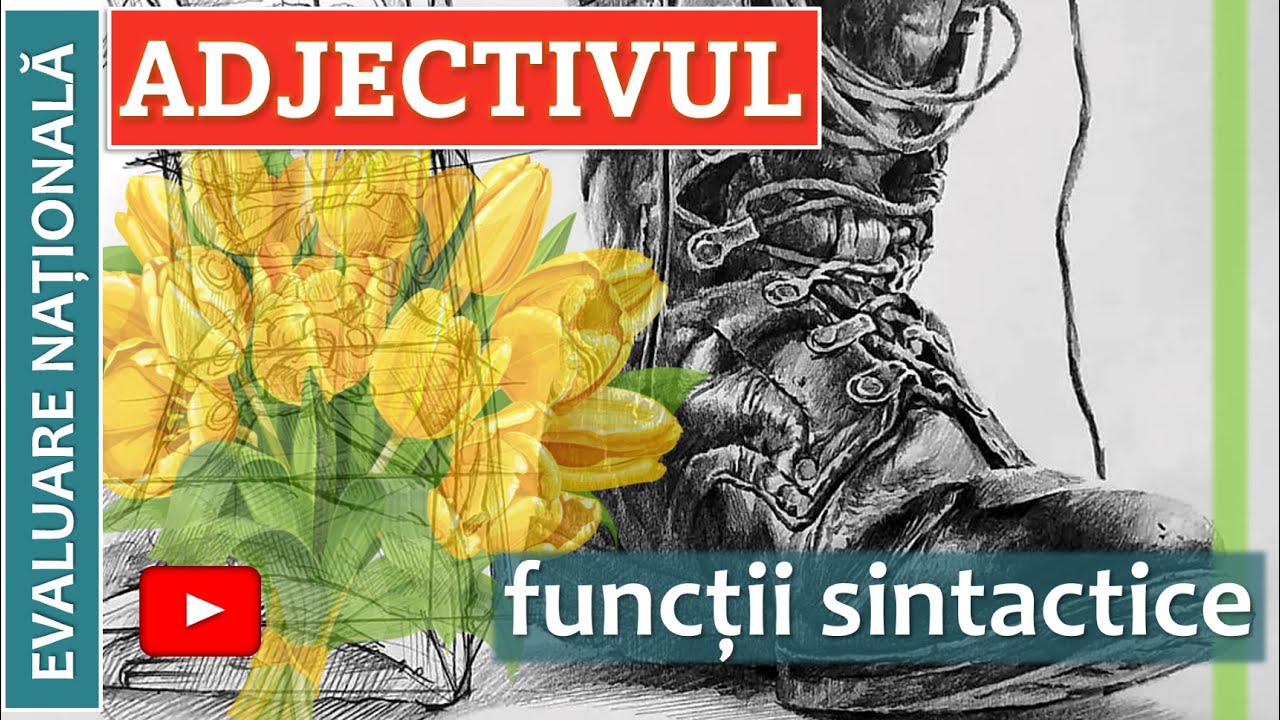 ADJECTIVUL (adjunct/ centru) - funcții sintactice
