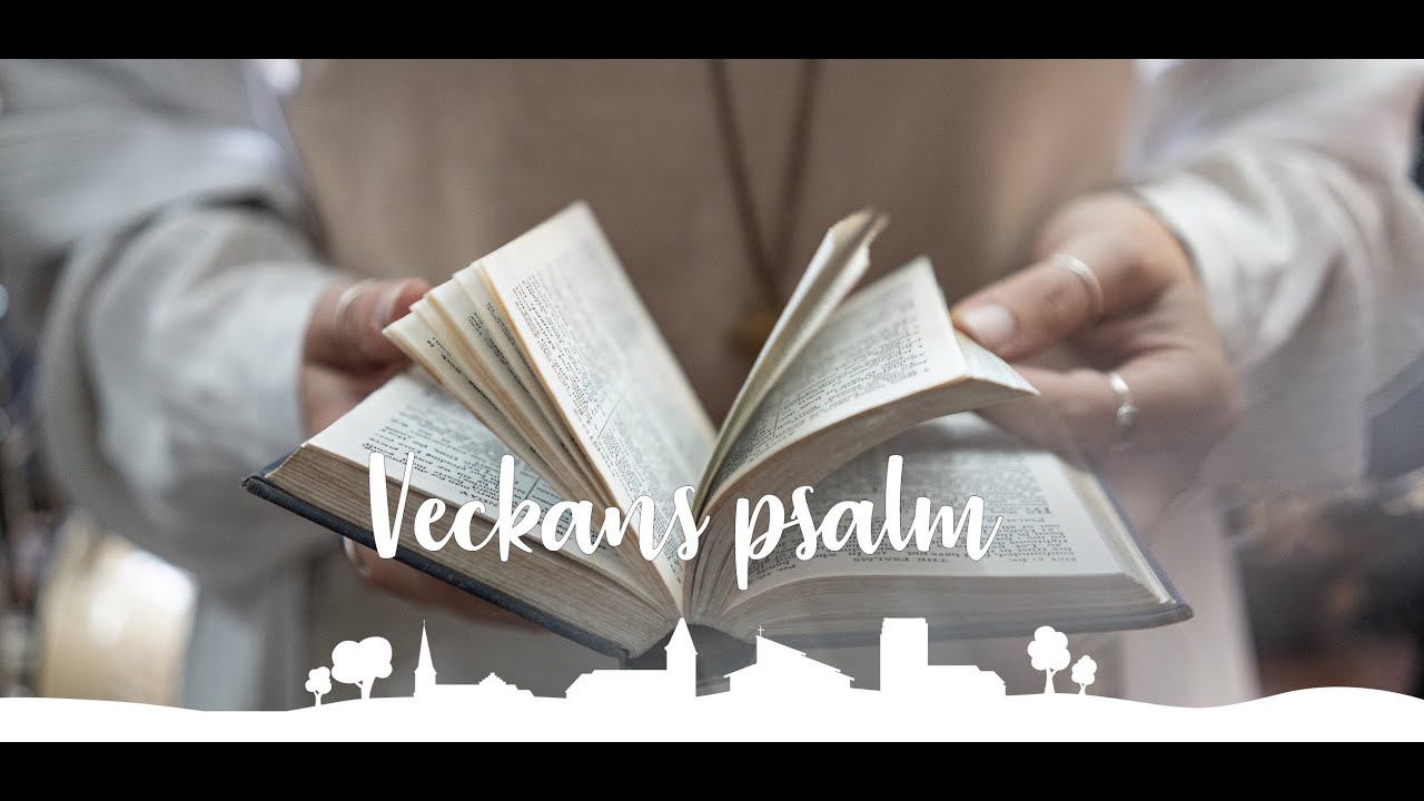 Psalm 798 Som liljan på sin äng