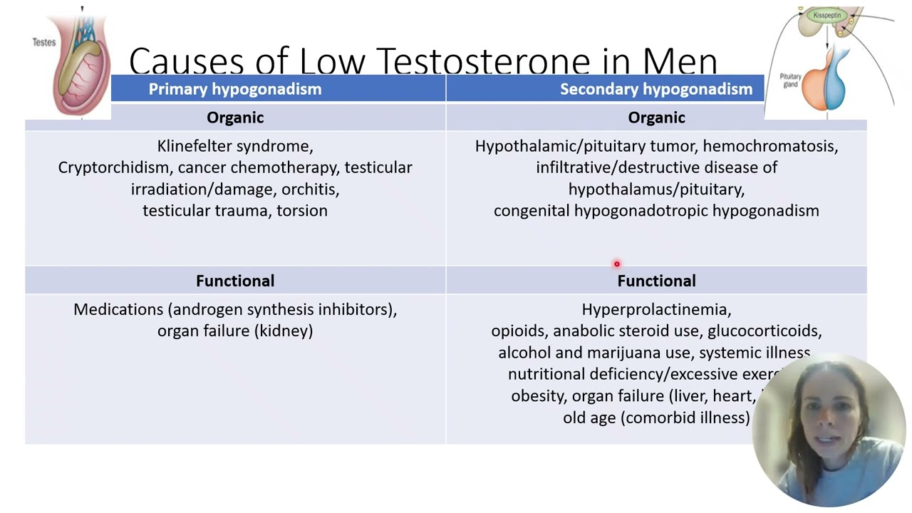 Hypogonadism Webcast
