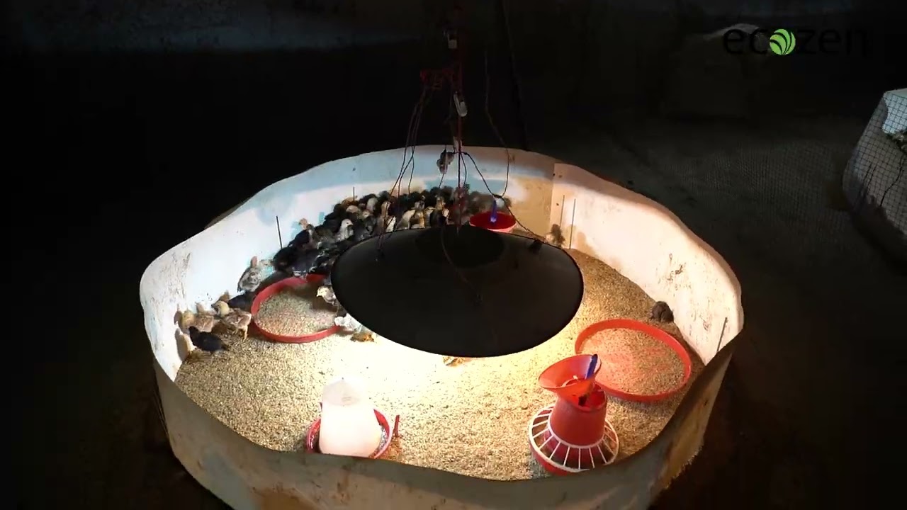 इकोझेन One Controller,Many Benefits | इकोझेन ओम्नी SPC (सिंगल फेज कंट्रोलर)  एक कंट्रोलर,अनेक फायदे