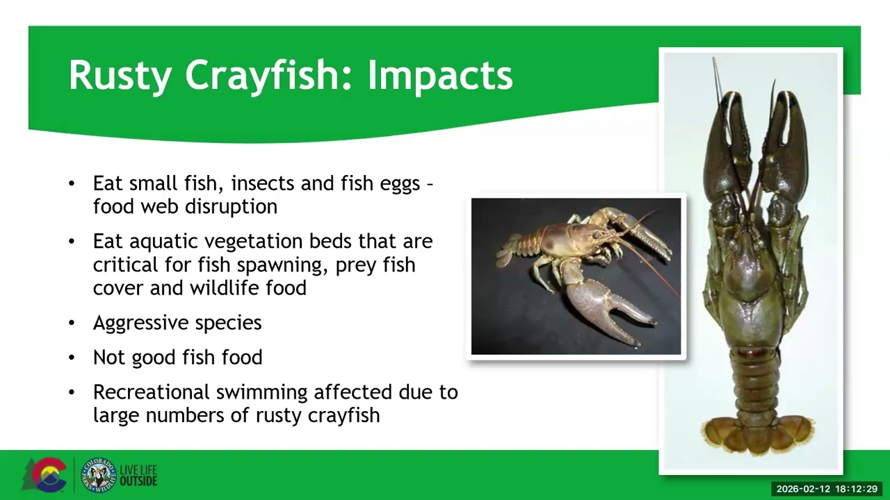 EV Watershed Coalition Presents: Zebra Mussels in Colorado