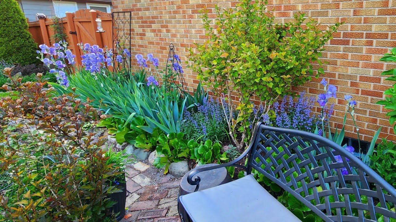 End of May Weekly Walkabout & Garden Tour~ Transition to Summer Blooms 🌼🐝🌺// Suburban Oasis