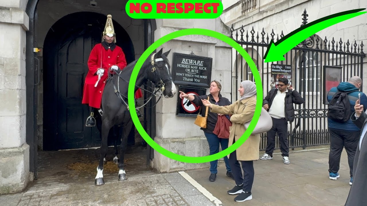 🤬RULES MEAN NOTHING Two Ladies Touch the Guard’s Horse Until I Intervene