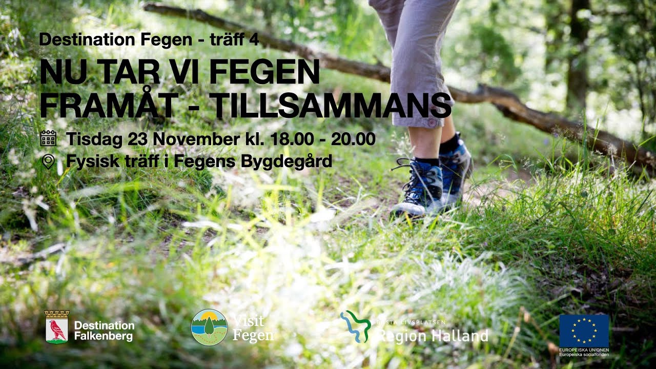 Samverkanstr&auml;ffar i Fegen - tr&auml;ff 4 - 2021