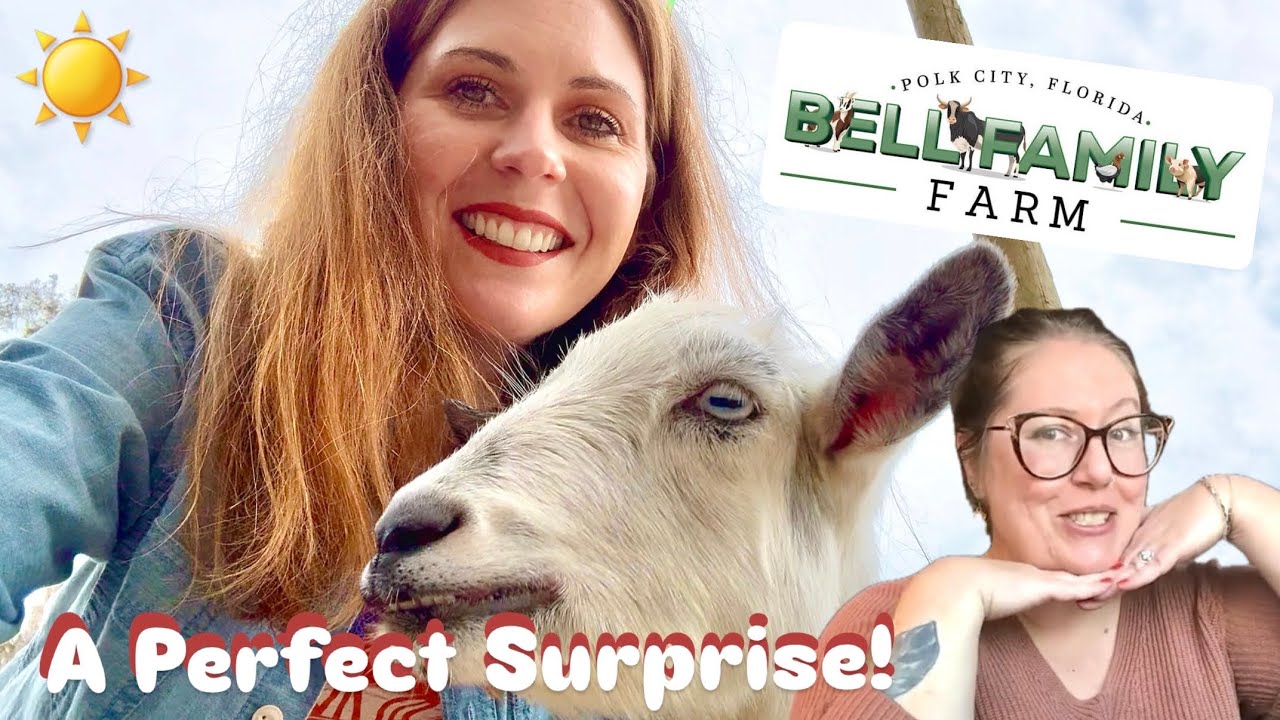 Crystal Plans the PERFECT SURPRISE Adventure for Julie!!