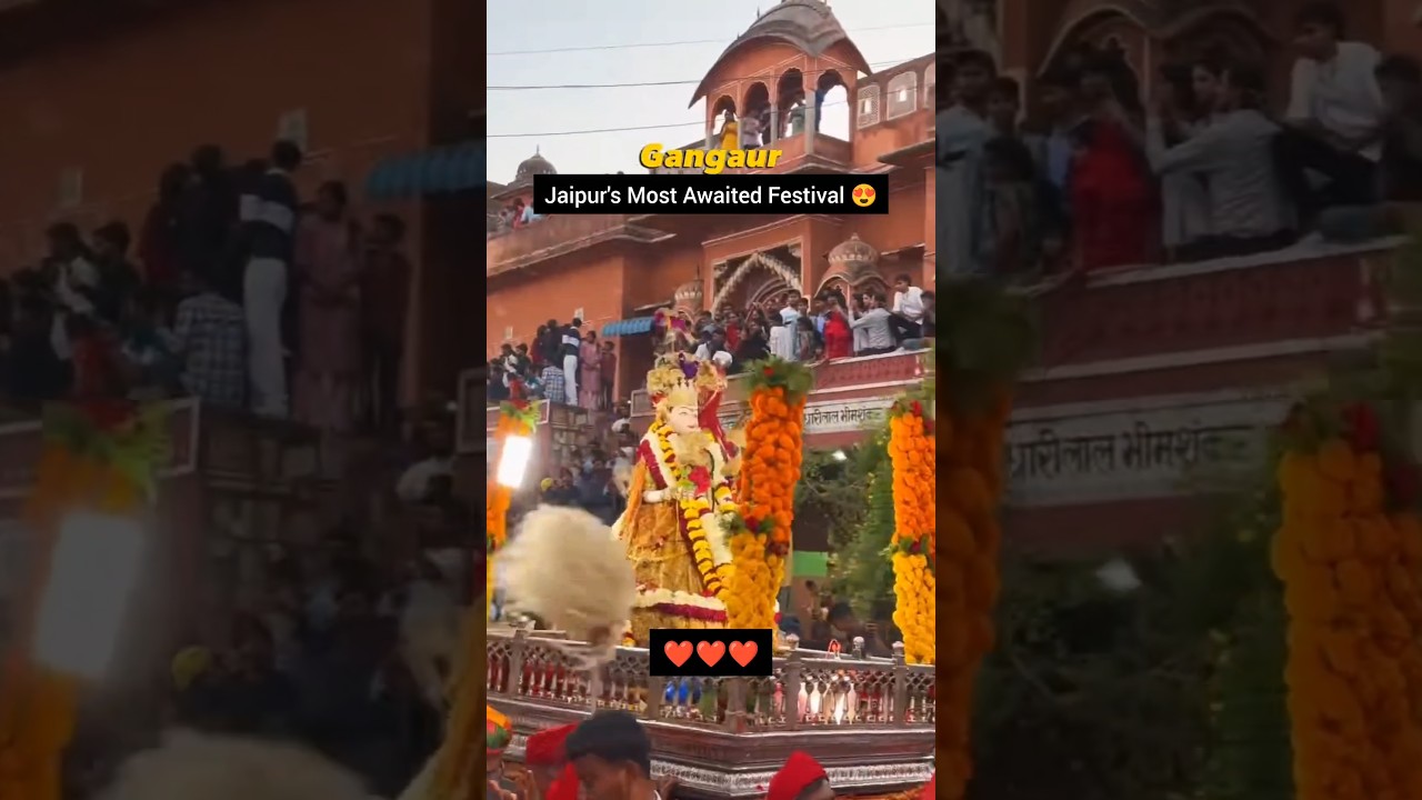 Gangaur 🌸 #jaipur #ytshorts #viral #trending #rajasthan
